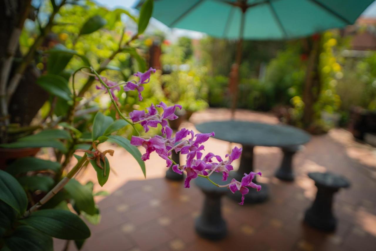 Strawberry Garden Homestay Хойан Экстерьер фото